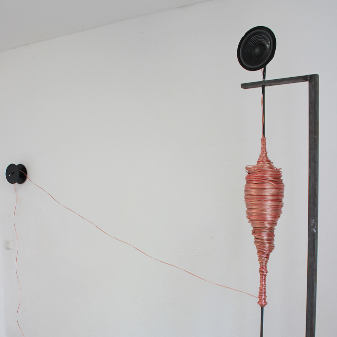 Torben Laib – schwund