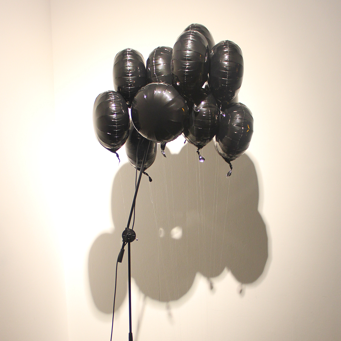 Janis Elias Müller – ohne Titel