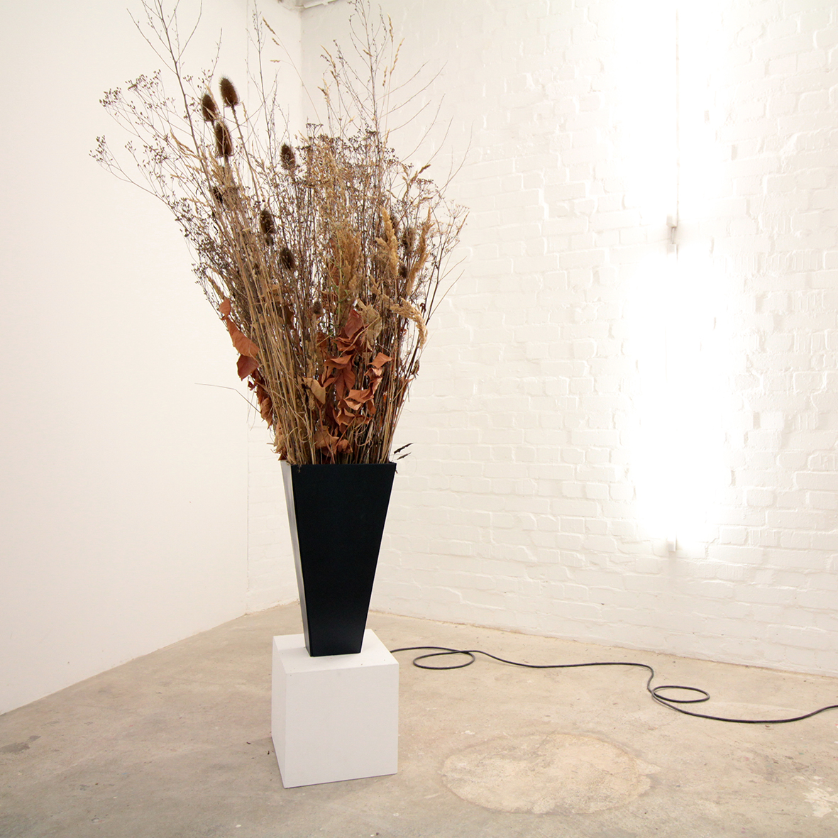 Felix Ermacora – Last Summer